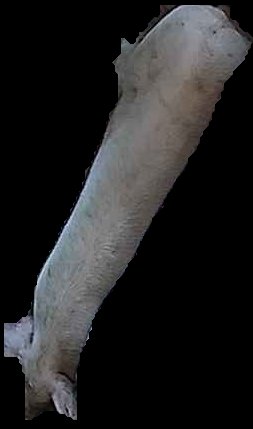 Crop