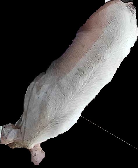 Crop