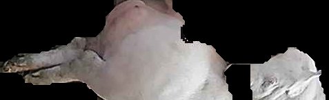 Crop