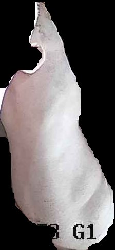 Crop
