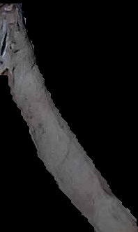 Crop