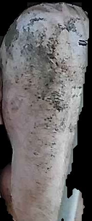 Crop