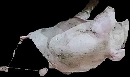 Crop