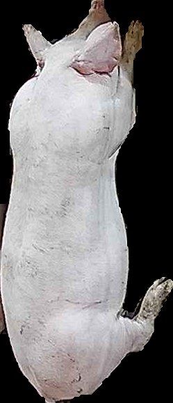Crop