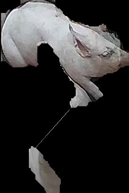 Crop