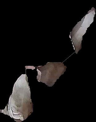 Crop