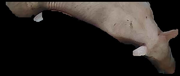 Crop