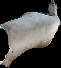 Crop