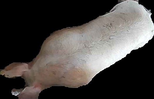 Crop