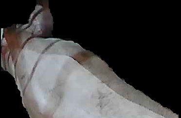 Crop