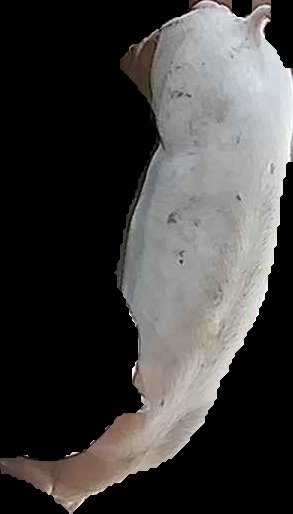 Crop