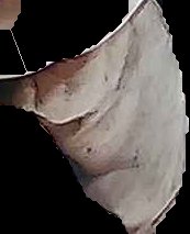Crop