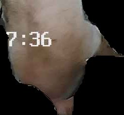 Crop