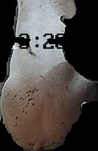 Crop