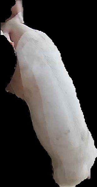 Crop