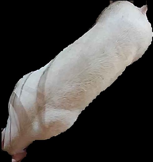 Crop