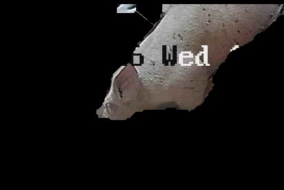 Crop