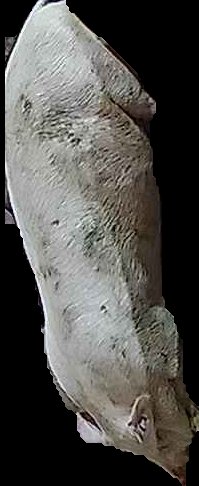Crop