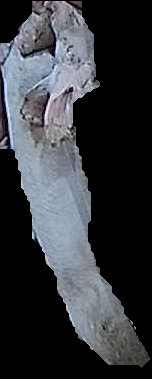 Crop