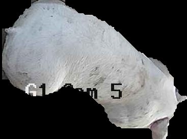 Crop
