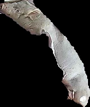 Crop