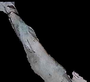 Crop