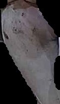 Crop