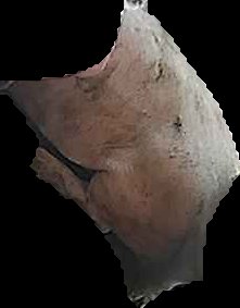 Crop