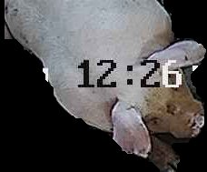Crop