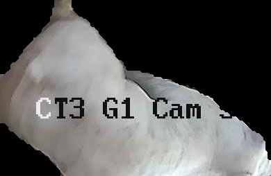 Crop