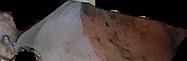 Crop