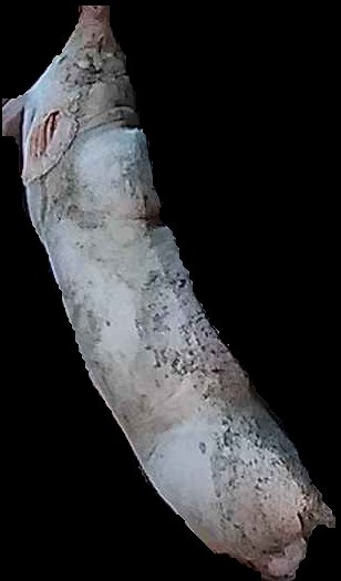 Crop