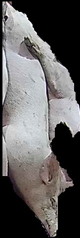 Crop