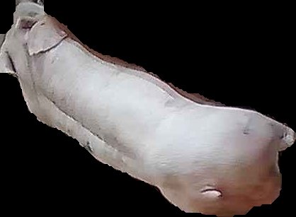Crop