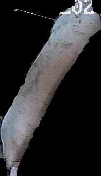 Crop