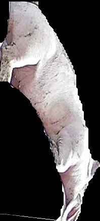 Crop