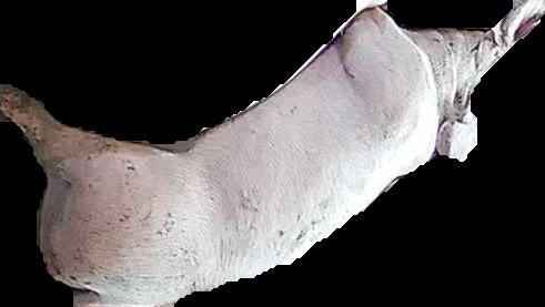 Crop