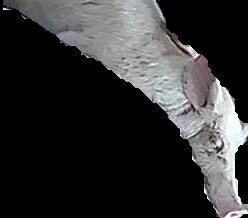 Crop