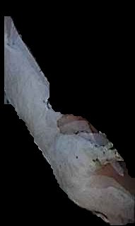 Crop