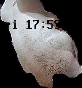 Crop