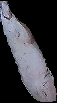 Crop