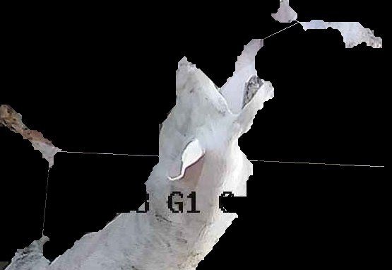Crop