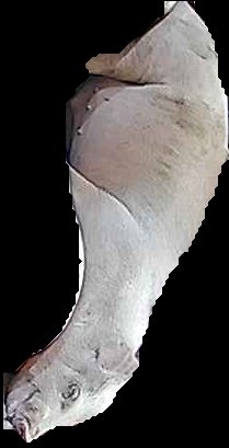 Crop