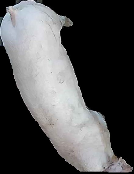 Crop