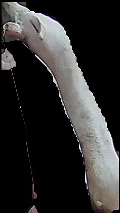 Crop