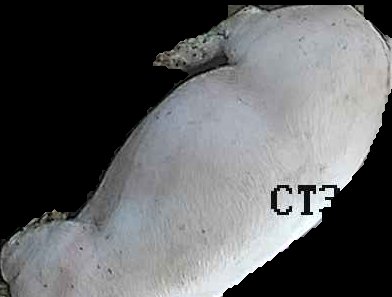 Crop