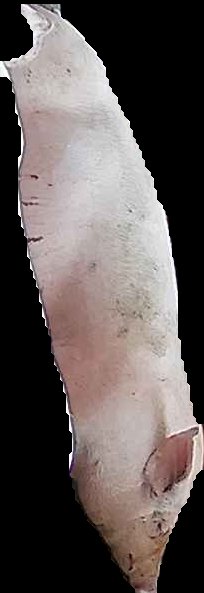 Crop