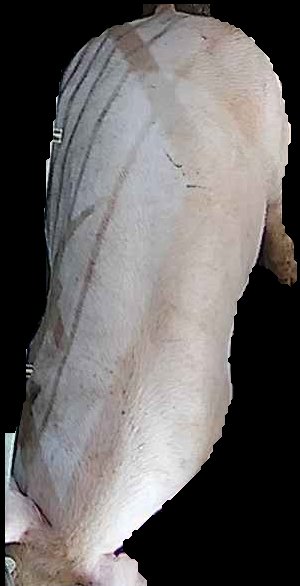 Crop