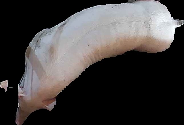 Crop