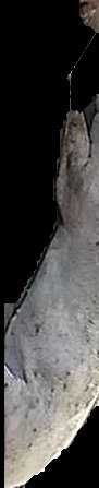 Crop